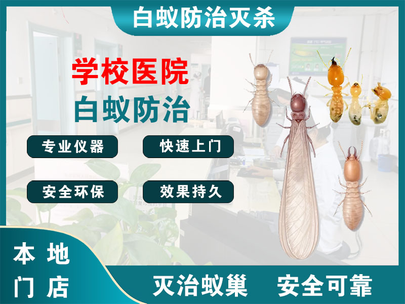 黄岩学校医院白蚁防治
