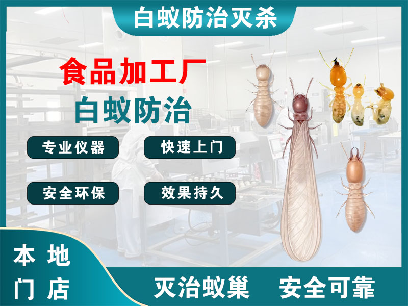 黄岩食品加工厂白蚁防治