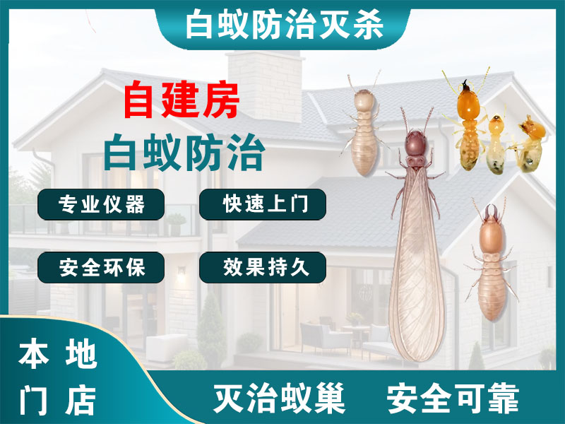 黄岩自建房白蚁防治