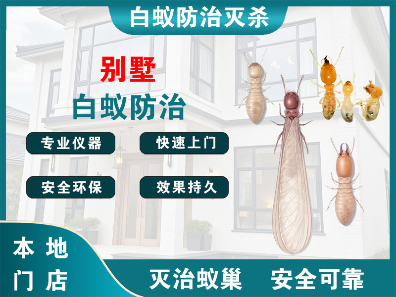 黄岩别墅白蚁防治